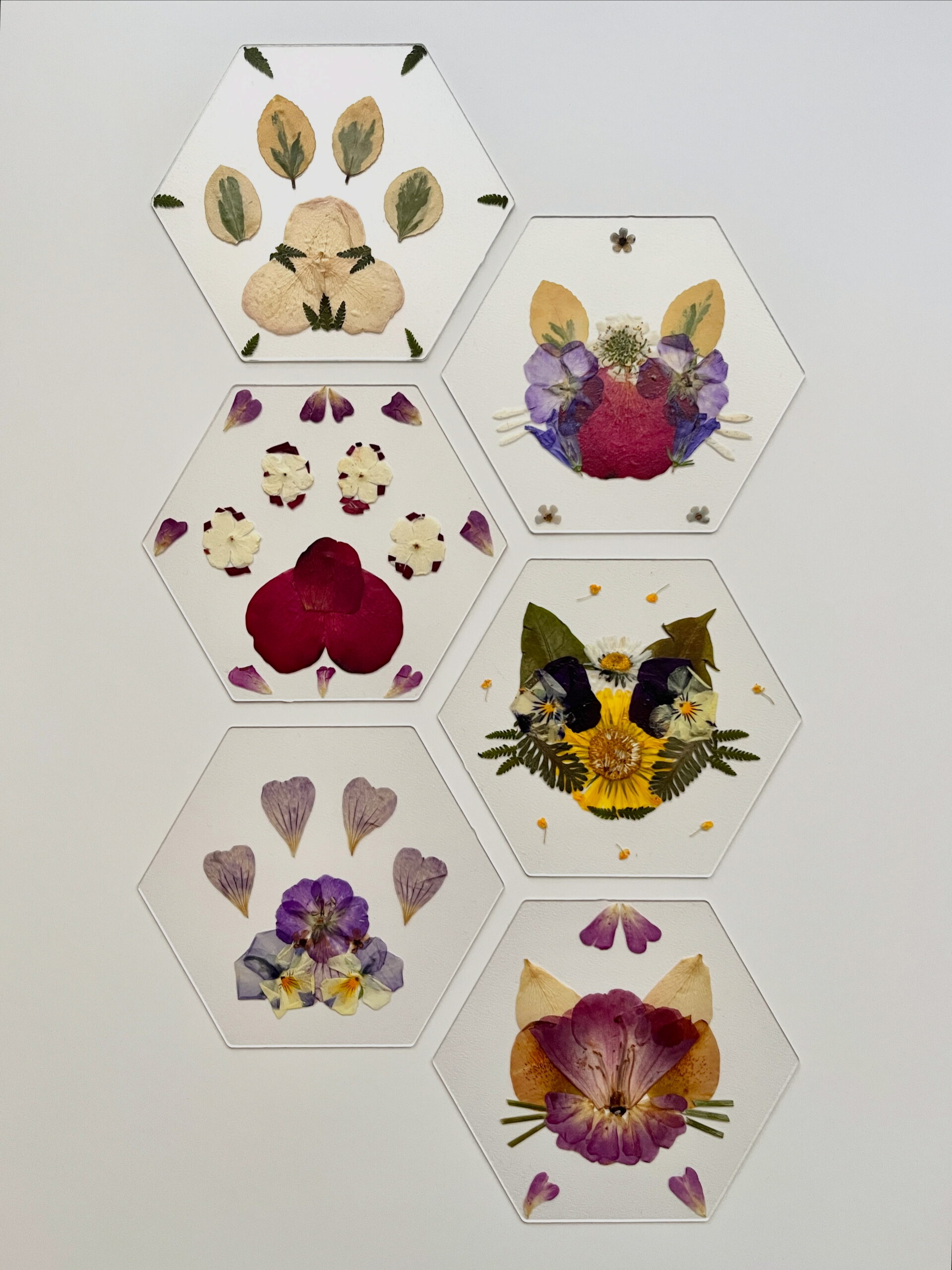 8c3657ca dc18 400a bf6f 9c13e482c0d6