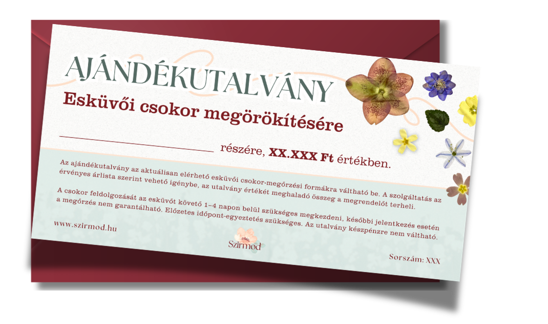 gyalogbusz posztok (36)